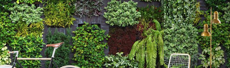 Digitale Fotowand: Motiv einer mit grünen Pflanzen wild bewachsenen Steinmauer