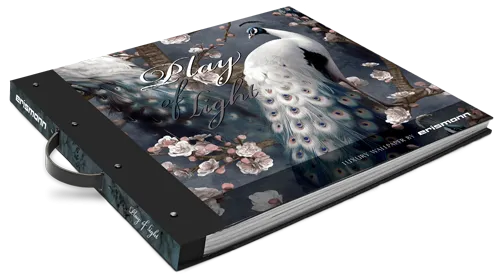 Tapetenmusterbuch Play of Light