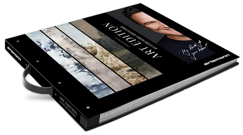 Tapetenmusterbuch Art Edition