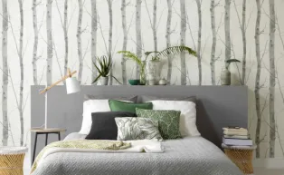 Wandgestaltung mit Vliestapete, Motiv Birkenstämme in Silbergrau, Schlafzimmer mit modernem Bett in hellgrau, viele Kissen, Pflanzen